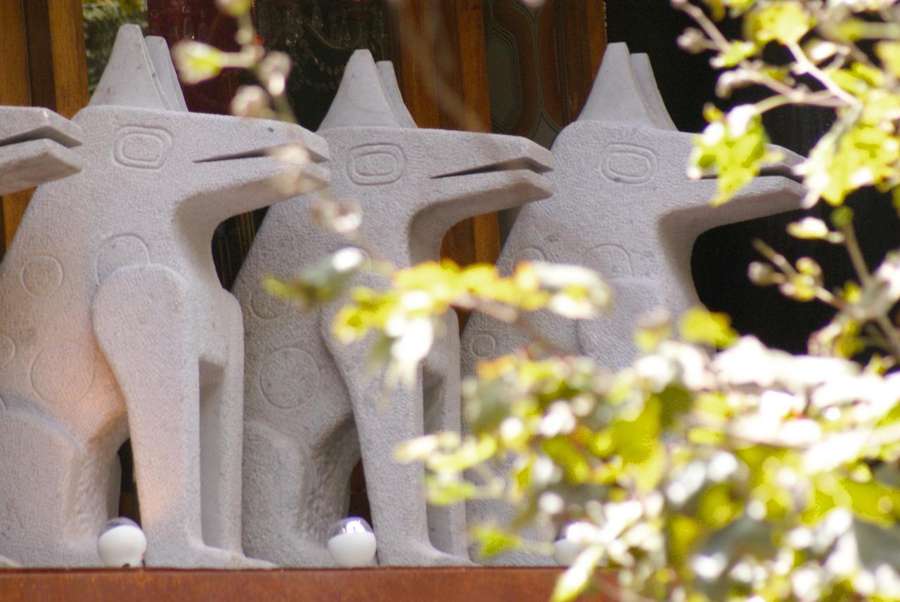 Dolce Lobo Boutique Stay Quito Exterior photo