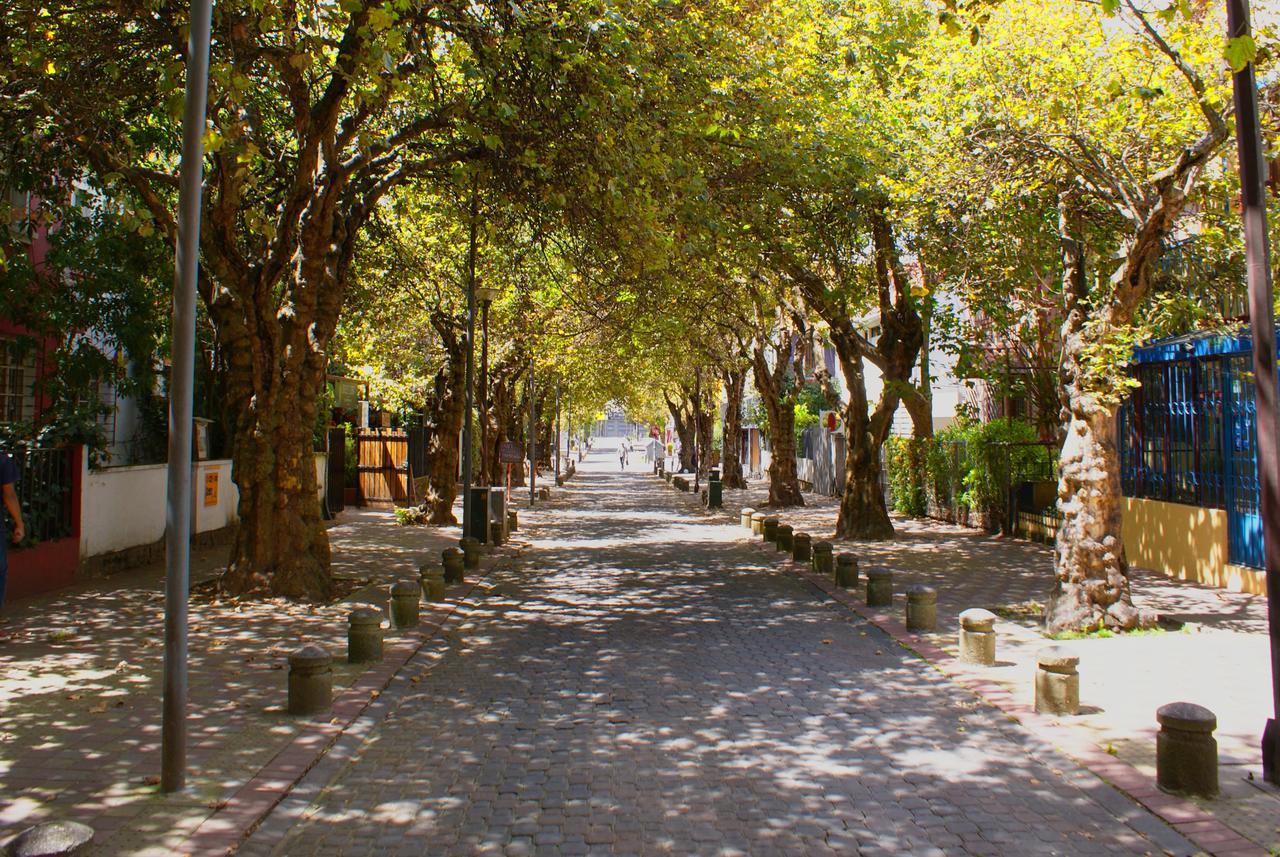 Dolce Lobo Boutique Stay Quito Exterior photo